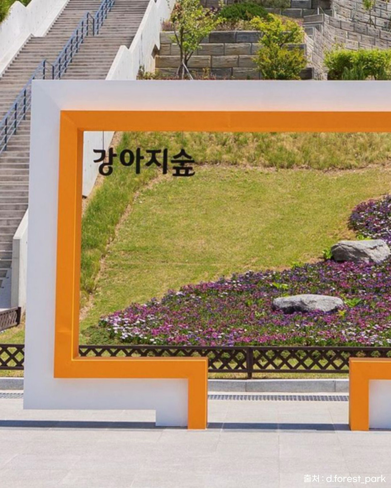 강아지숲