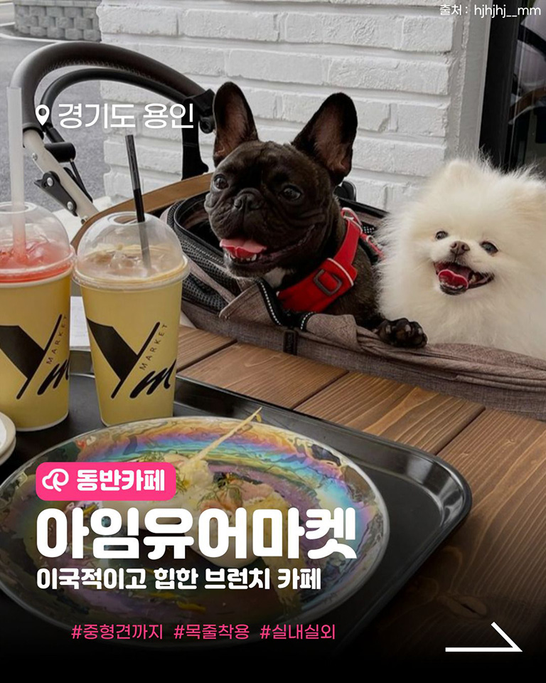 아임유어마켓