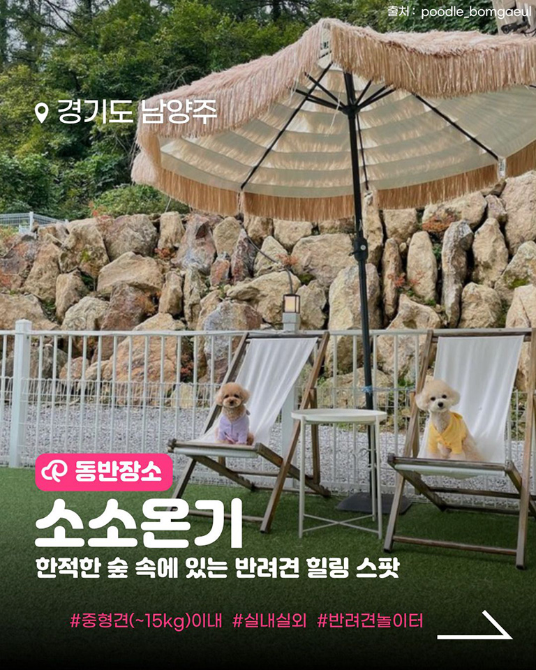 소소온기