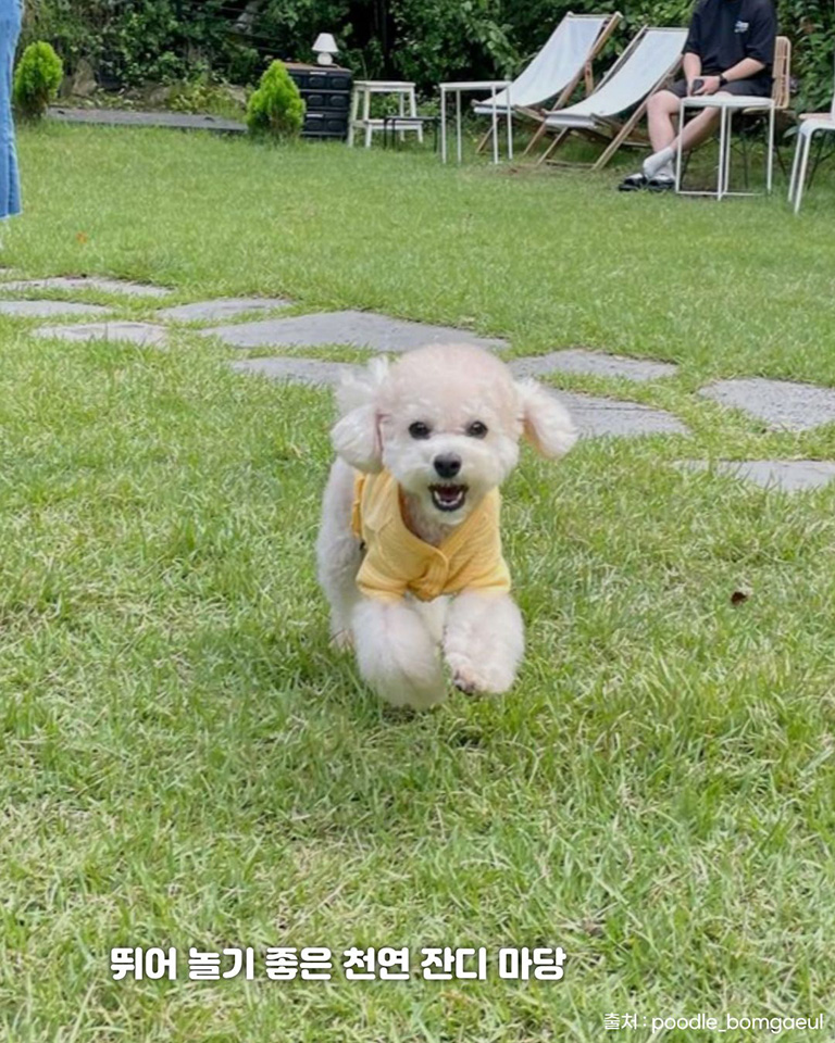 소소온기