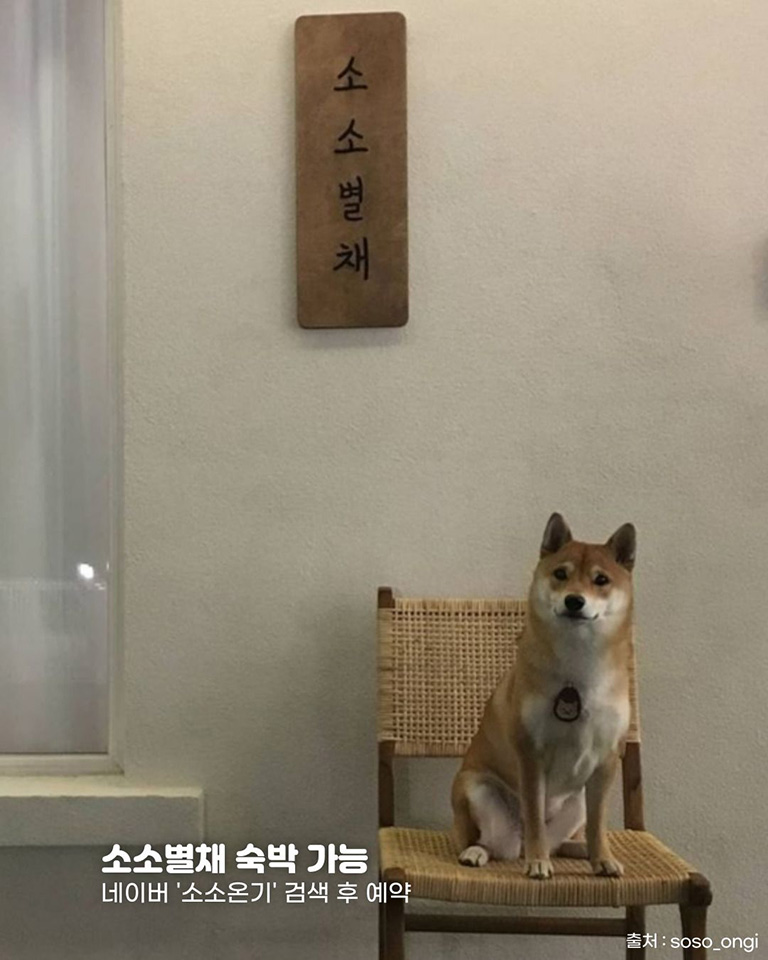 소소온기