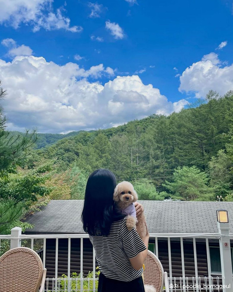 소소온기