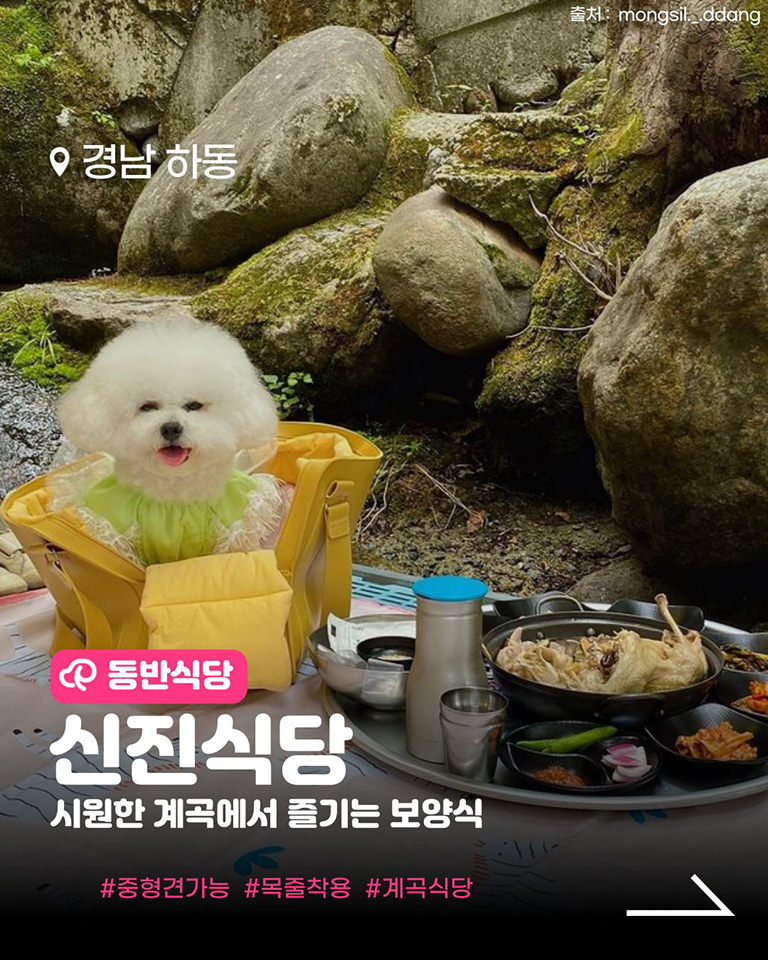 신진식당