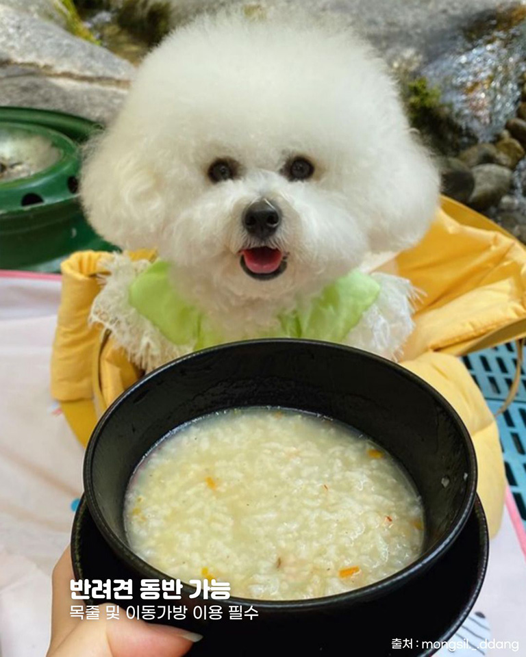 신진식당