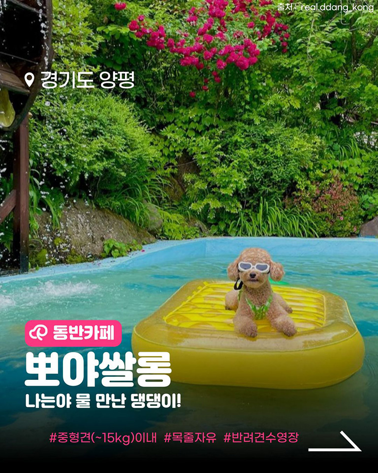 뽀야쌀롱