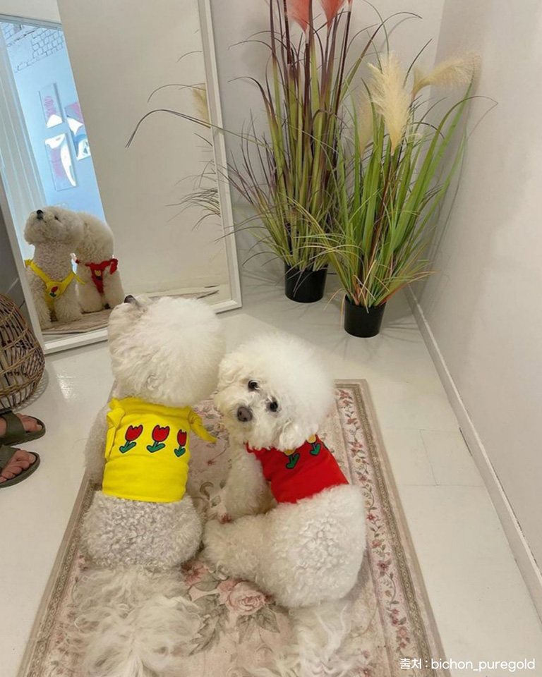 뽀야쌀롱