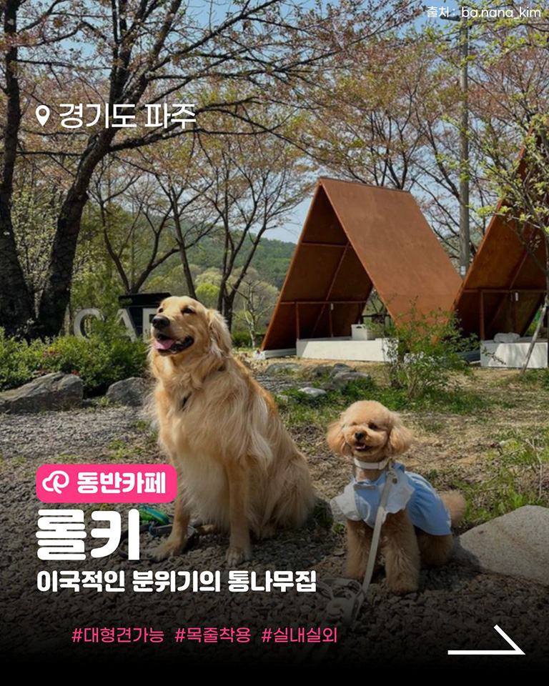 롤키