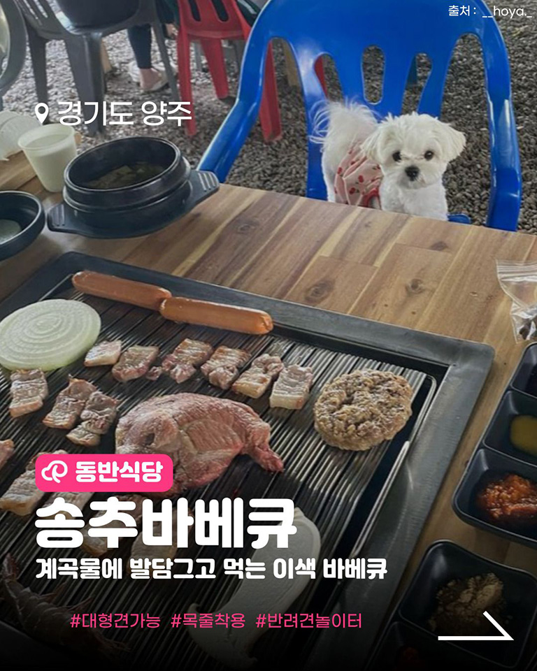 송추바베큐