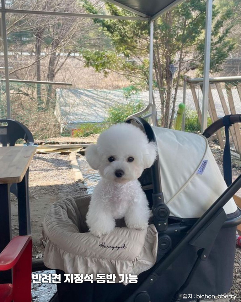 송추바베큐