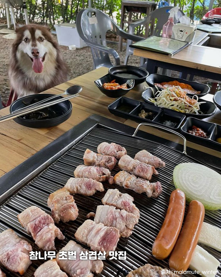 송추바베큐
