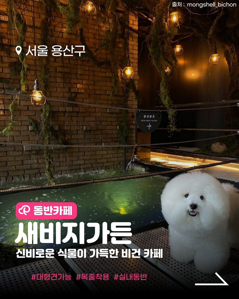 새비지가든