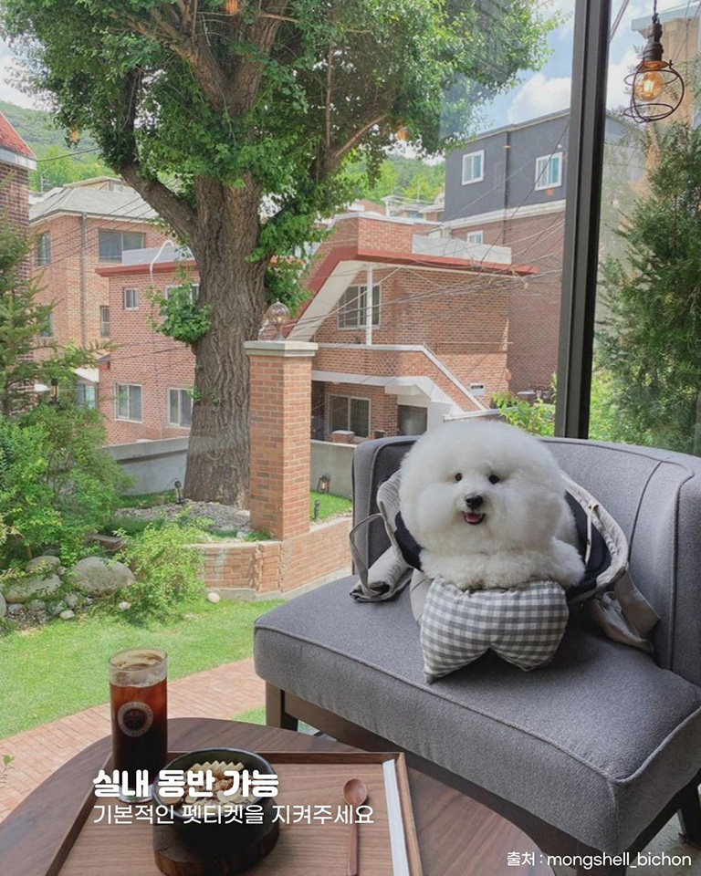 새비지가든