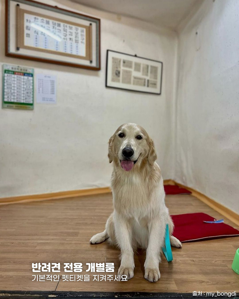 마방집