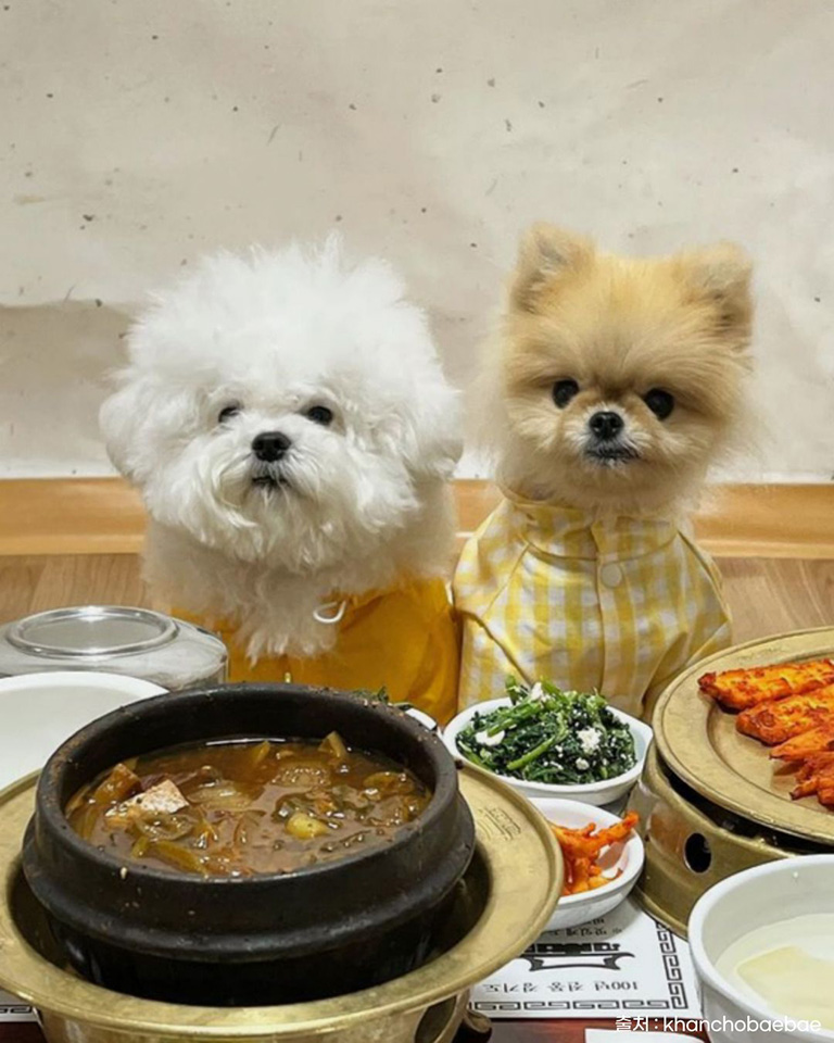 마방집