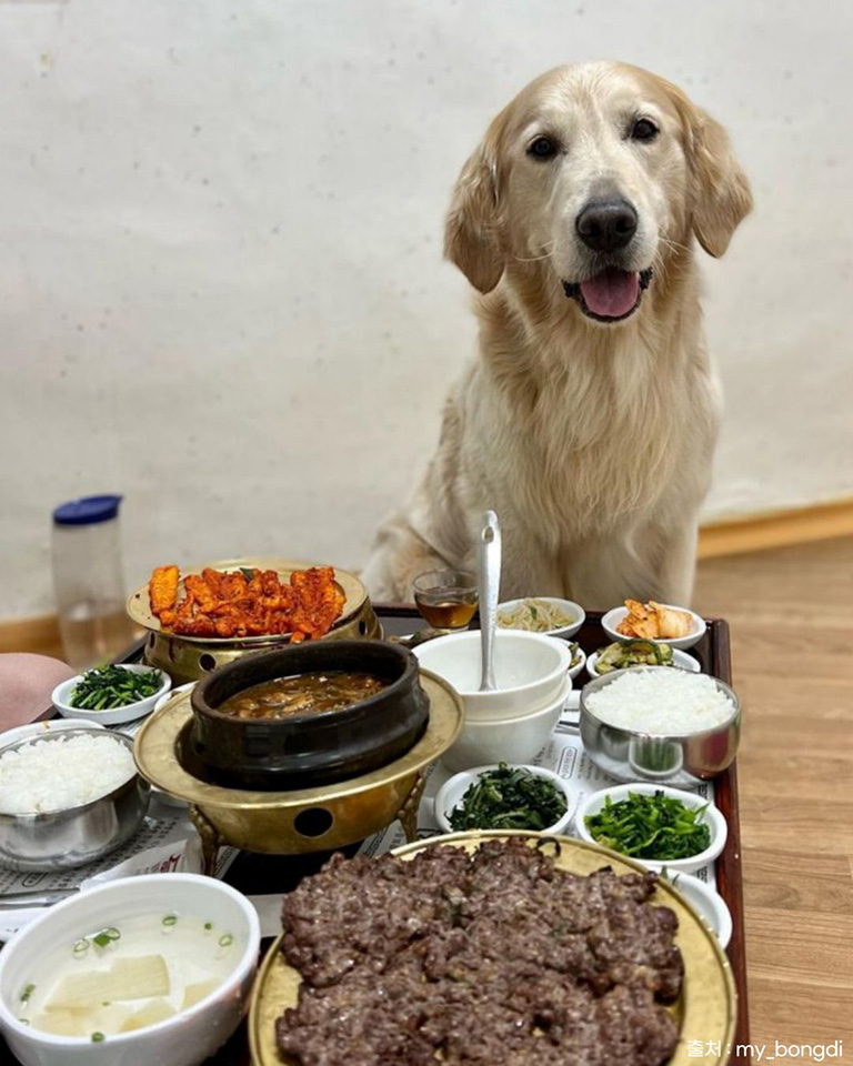 마방집
