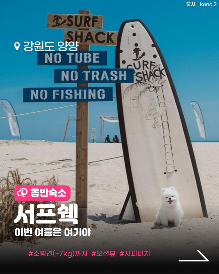 서프쉑