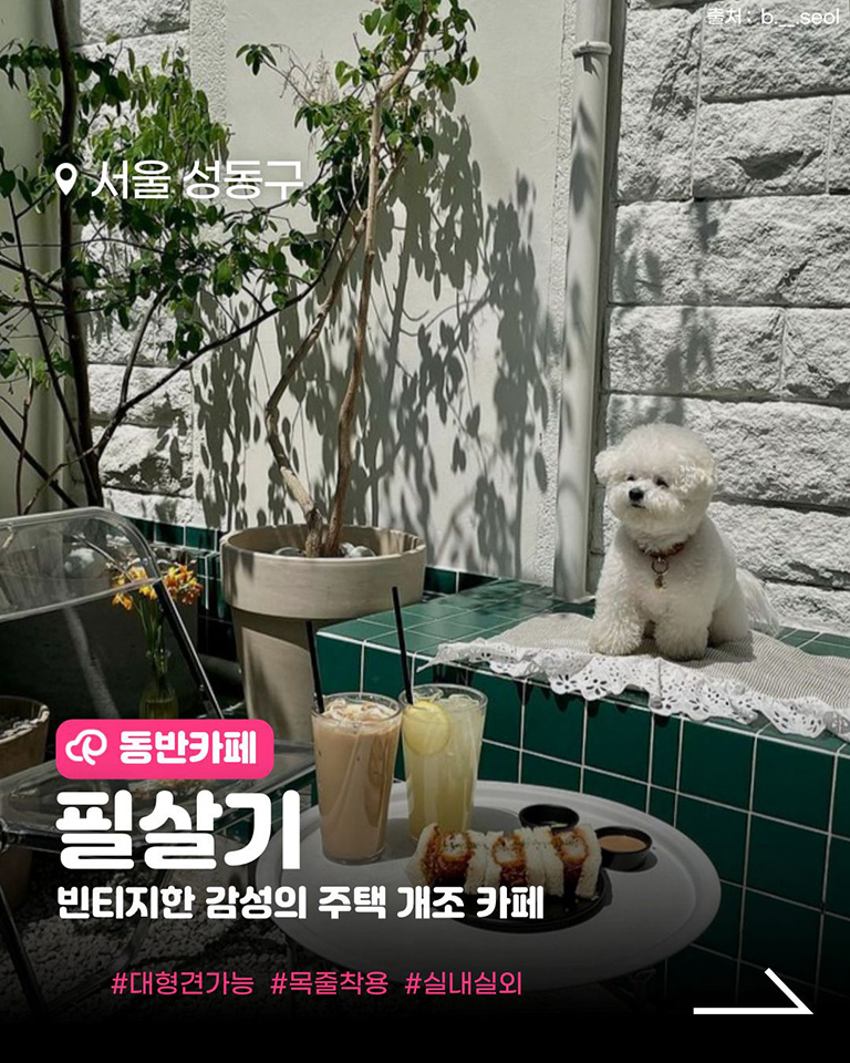 필살기CAFE