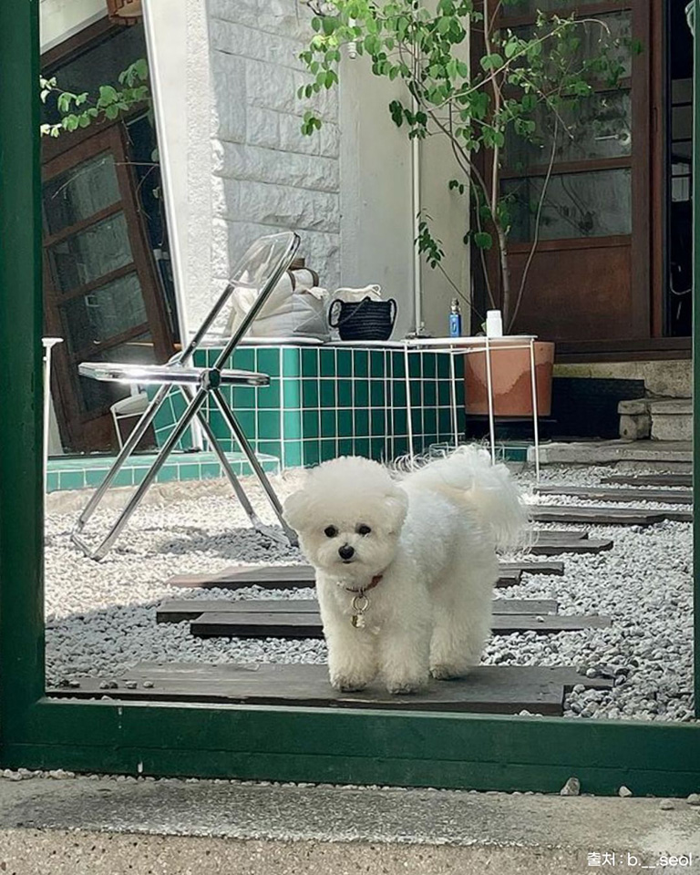 필살기CAFE