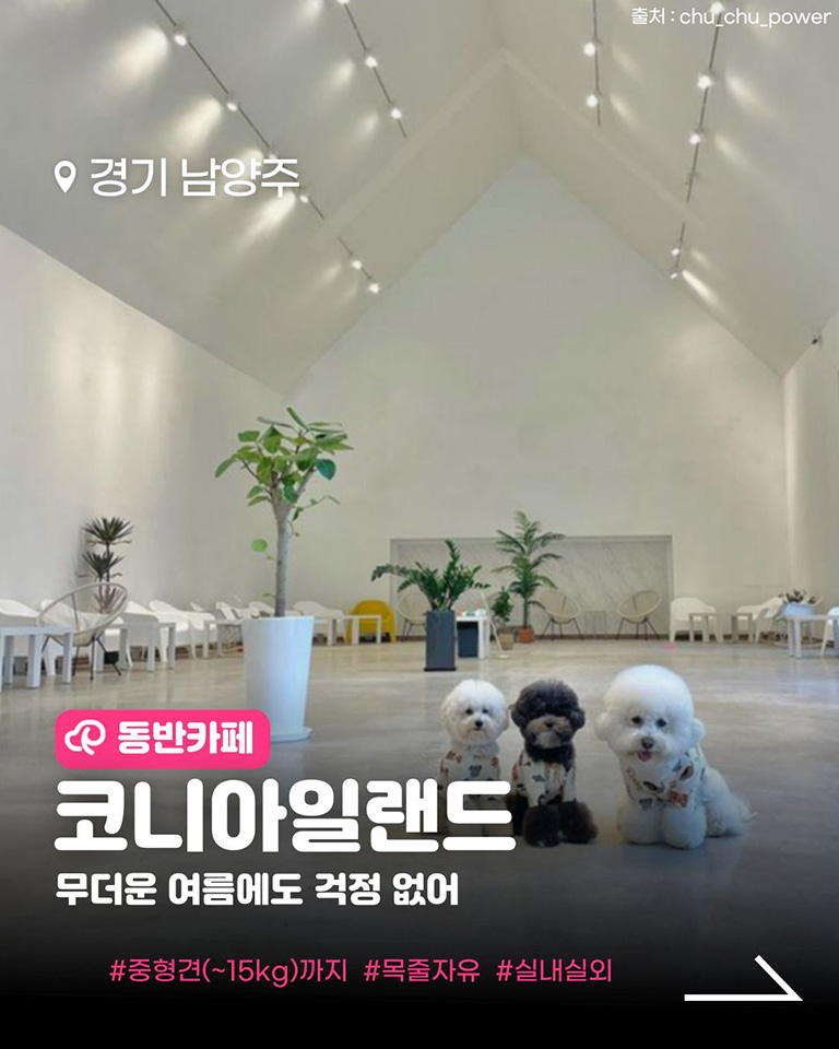 코니아일랜드