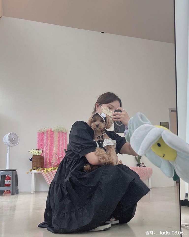 코니아일랜드