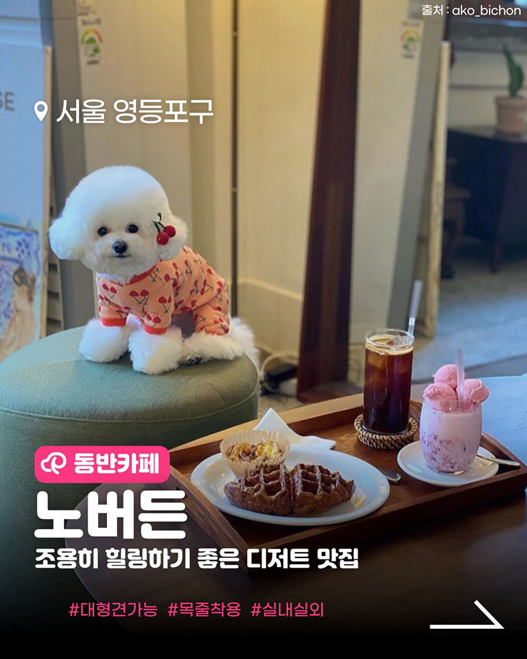 노버든