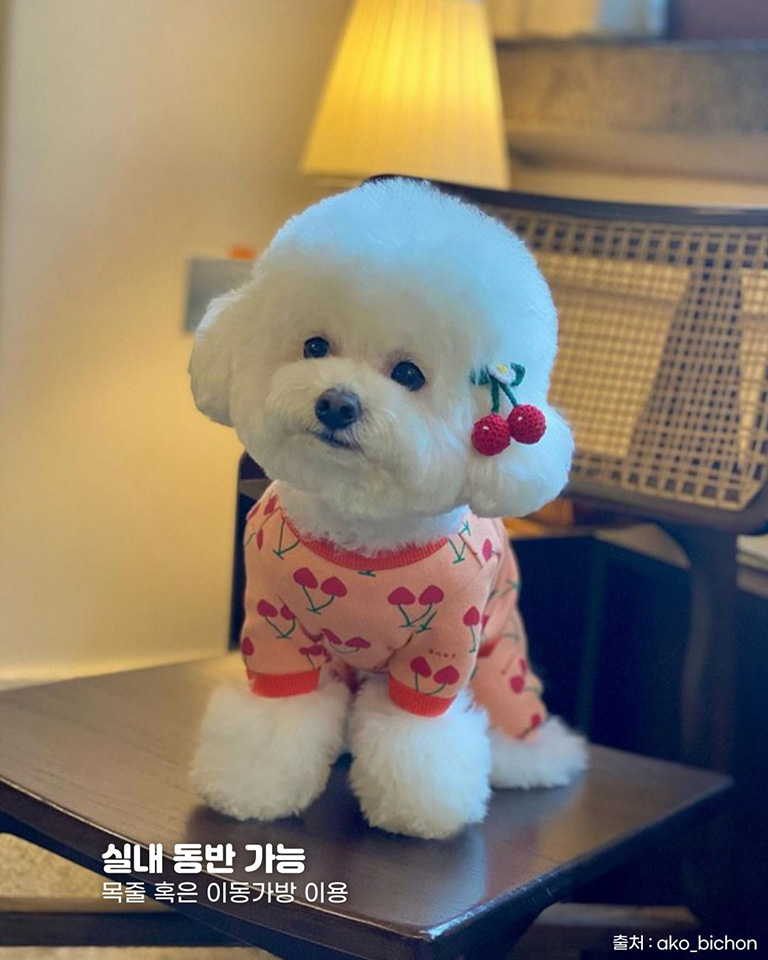 노버든