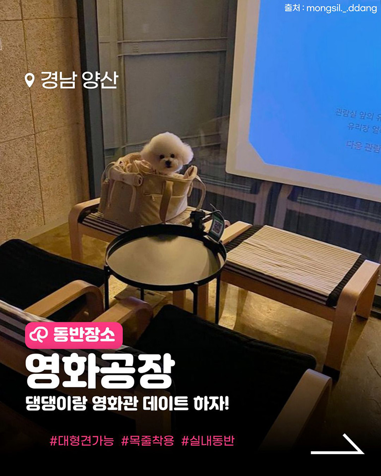 영화공장