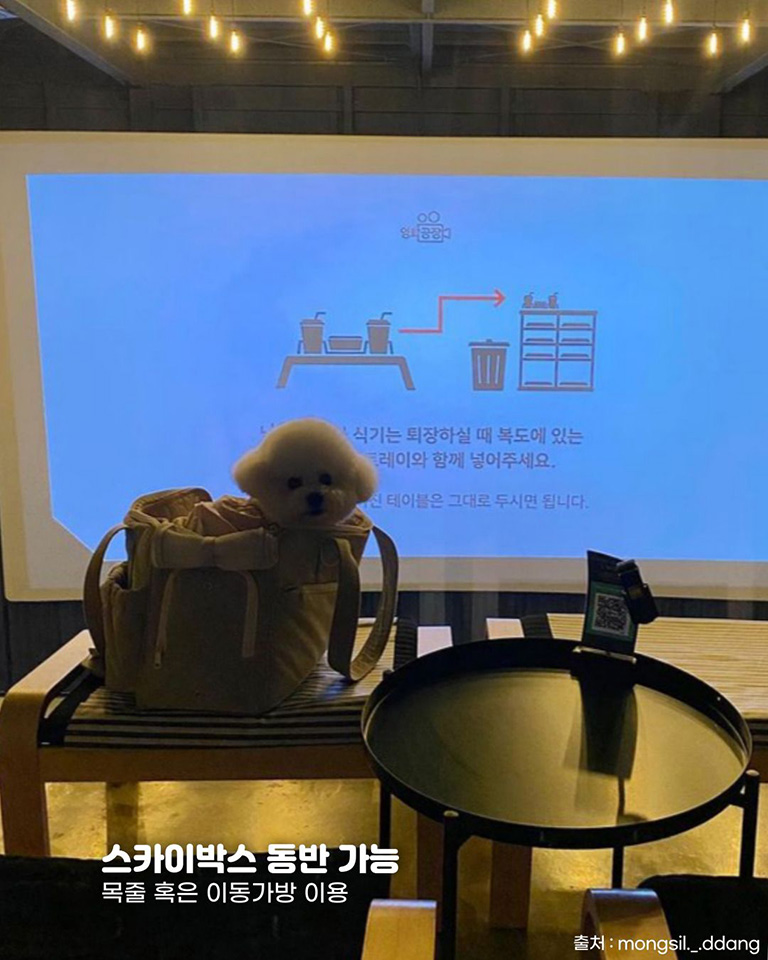 영화공장