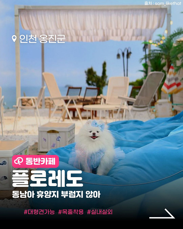 플로레도커피 선재점