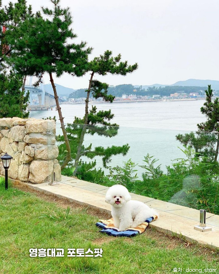 플로레도커피 선재점