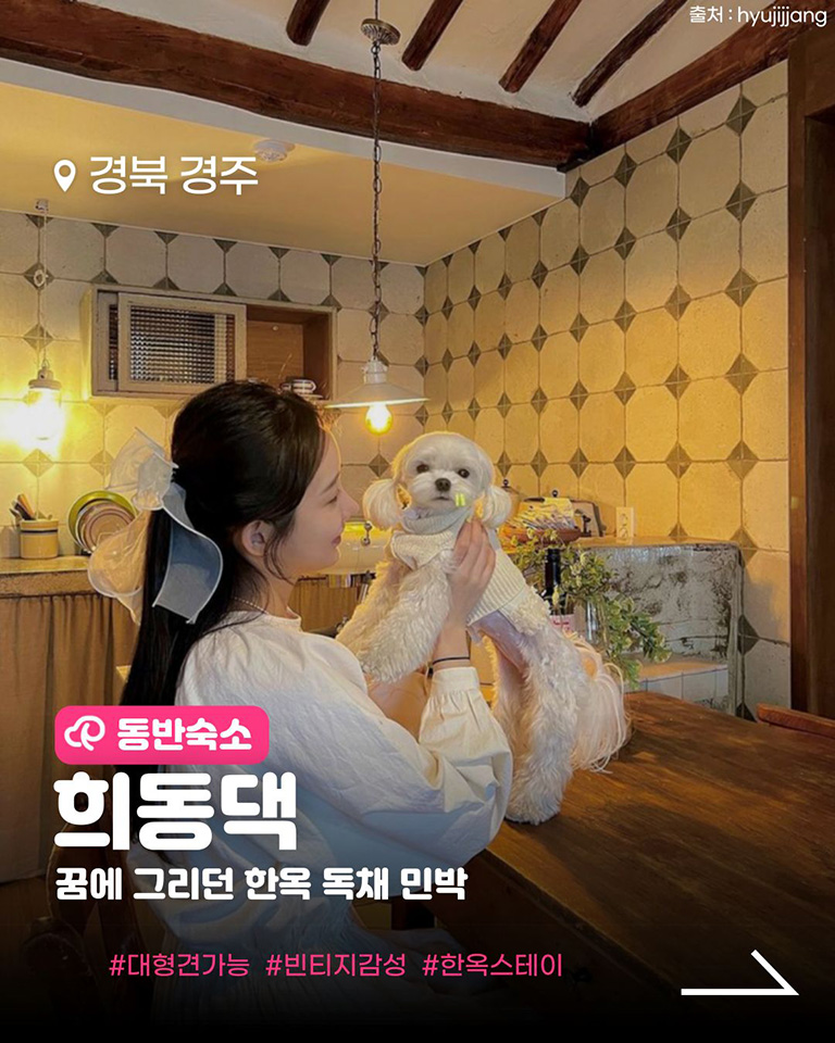 희동댁