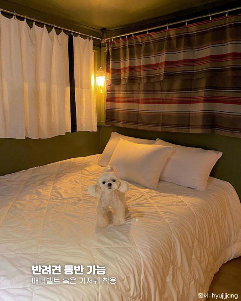 희동댁