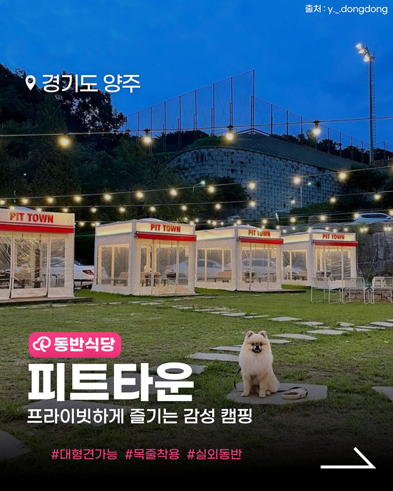 피트타운