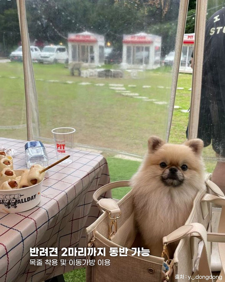 피트타운