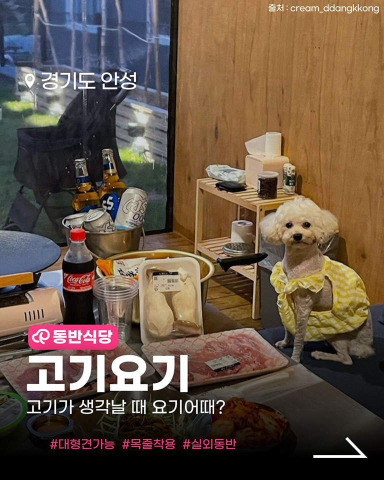 고기요기