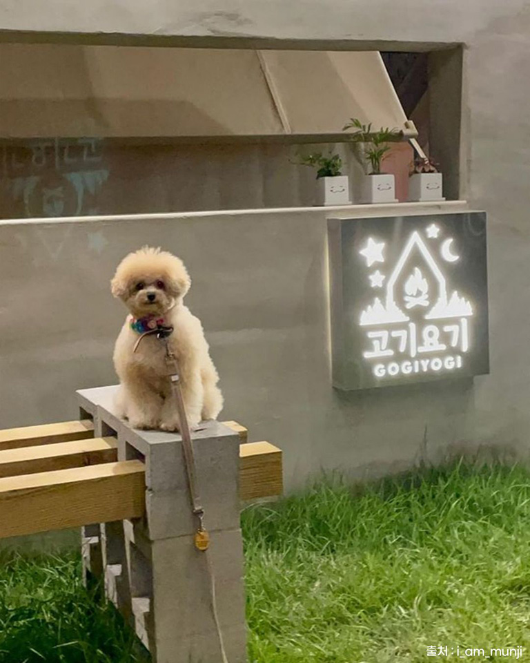 고기요기