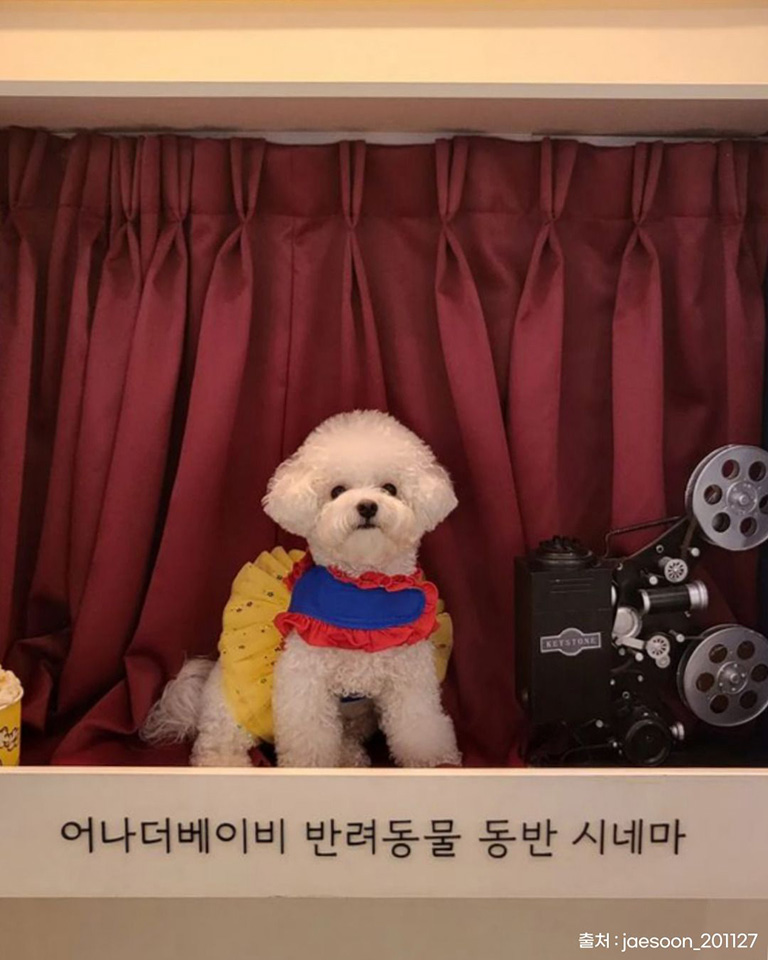 메가박스 영통점 (어나더베이비)