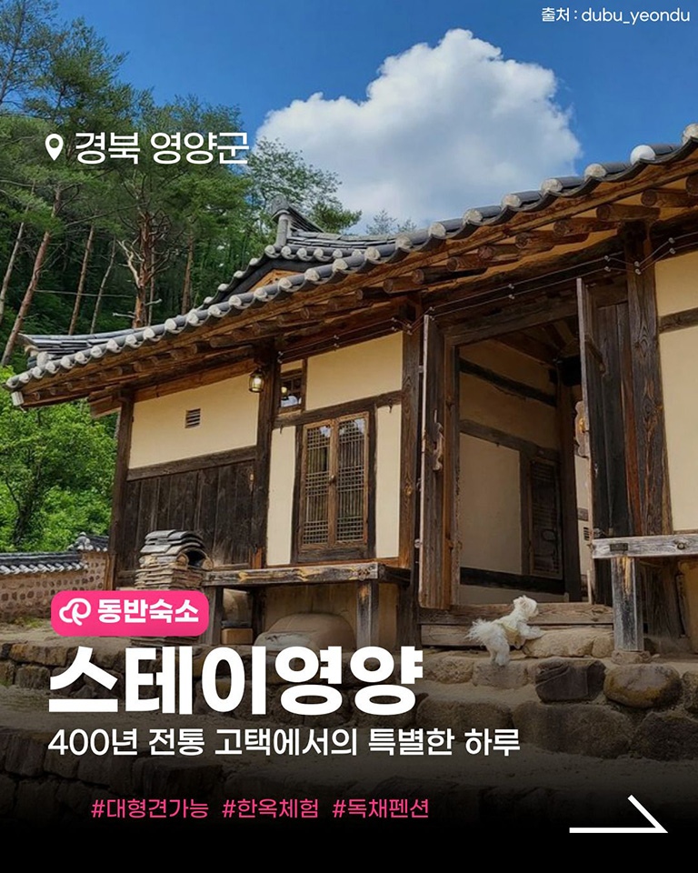 스테이영양
