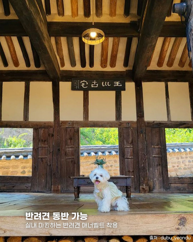 스테이영양