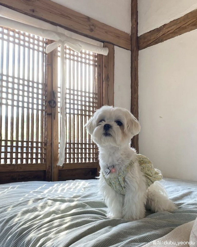 스테이영양