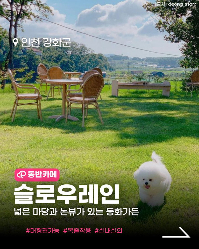 슬로우 레인