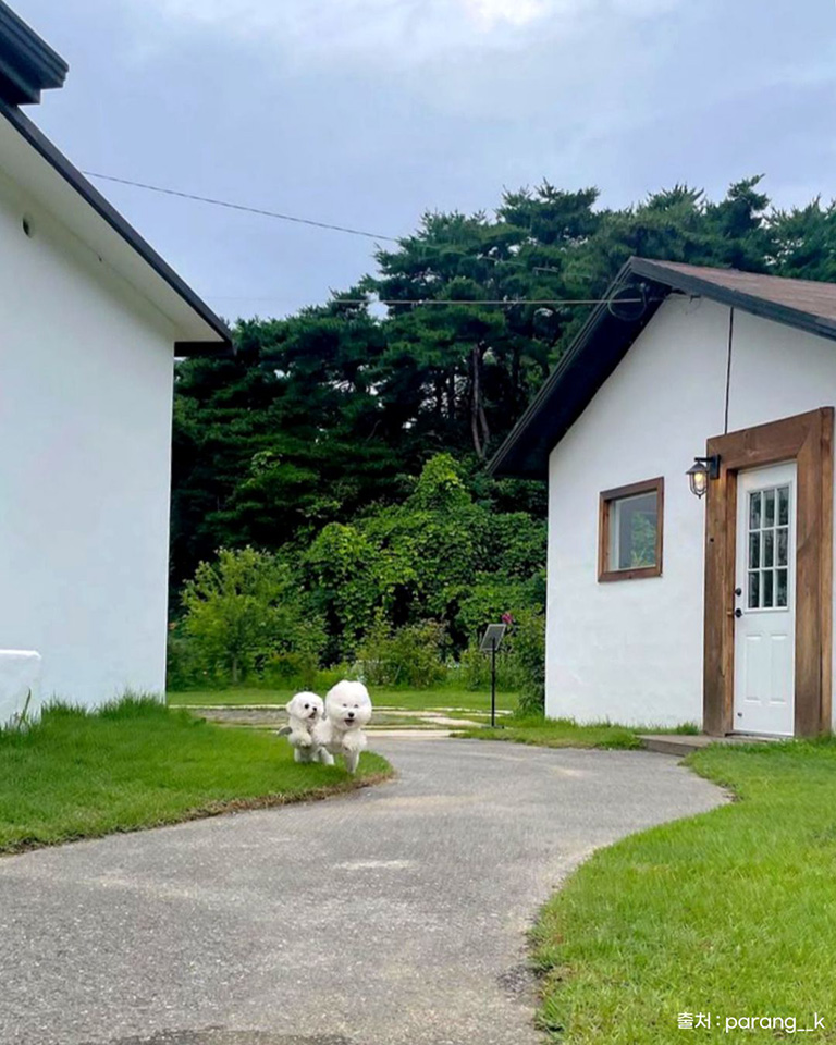 카페 여주