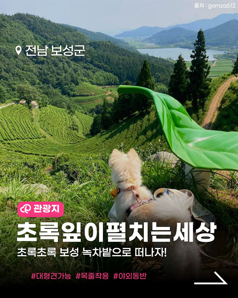 초록잎이펼치는세상