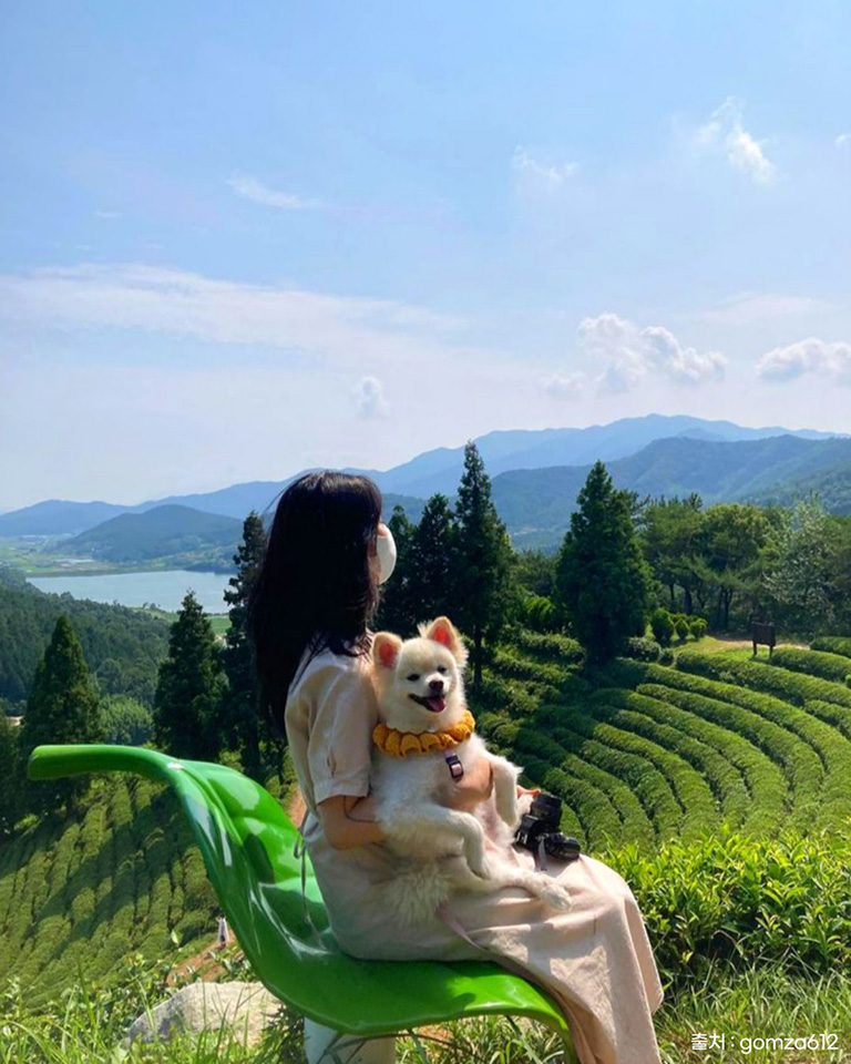 초록잎이펼치는세상