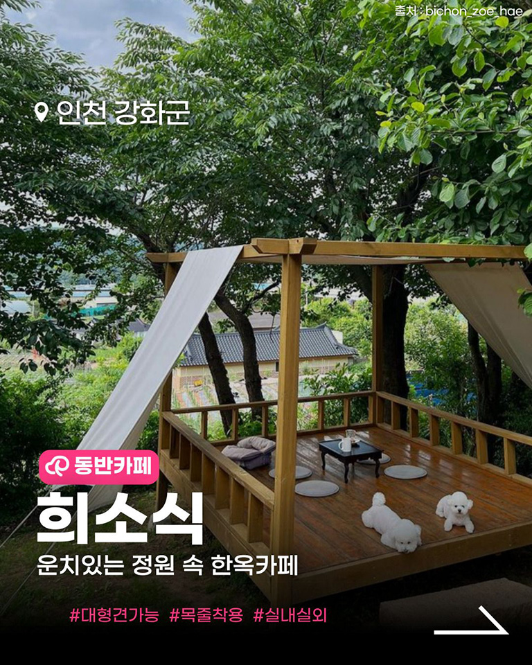 희소식