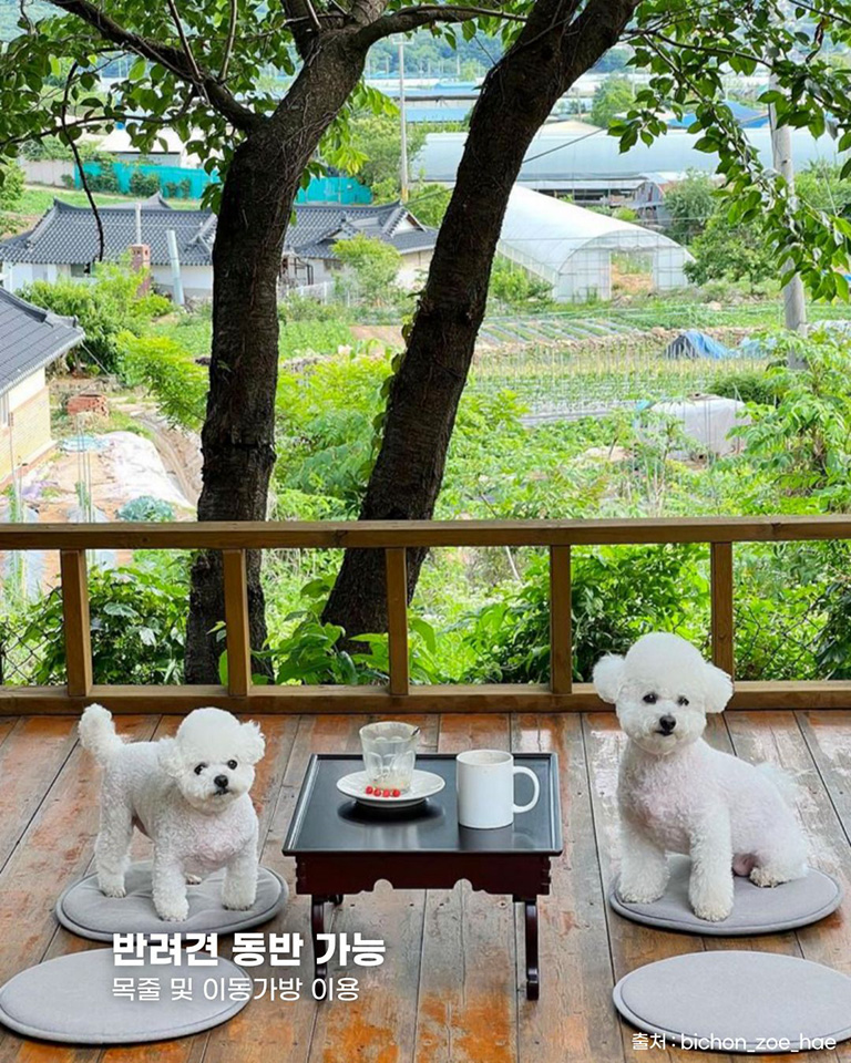 희소식