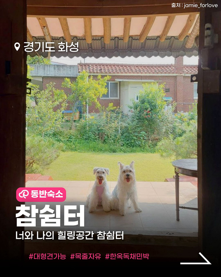 참쉼터