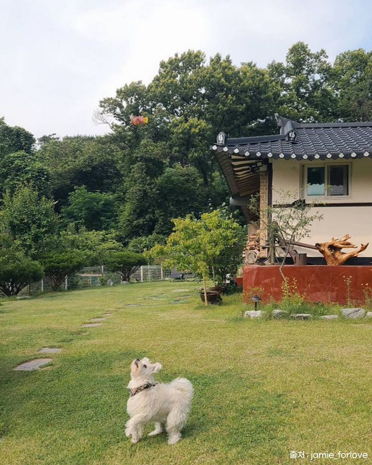 참쉼터