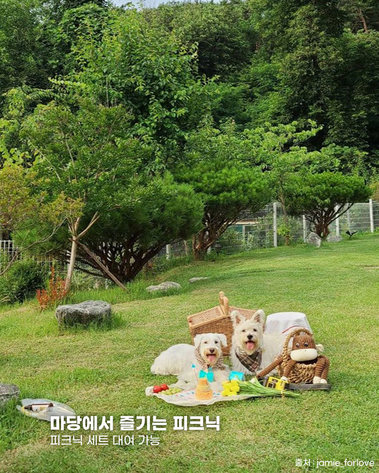 참쉼터