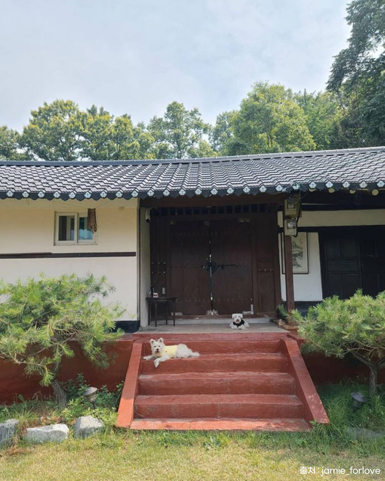 참쉼터
